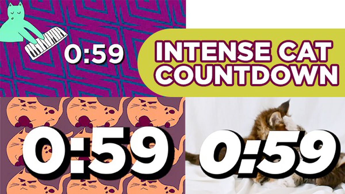 INTENSE 60 SEC CAT COUNTDOWN image number null